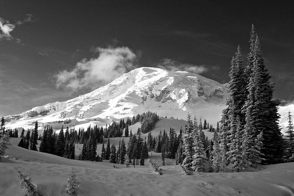 Eggers, Terry 아티스트의 USA-Washington State-Mt-Rainier National Park-Winter on Mount Rainier작품입니다.